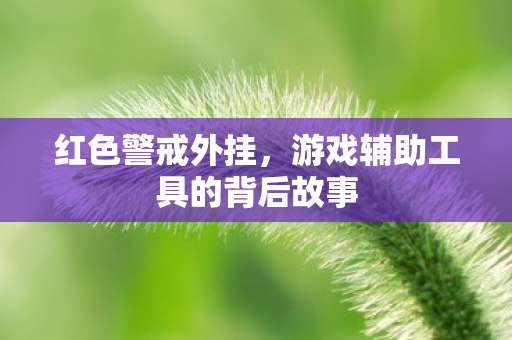 红色警戒外挂，游戏辅助工具的背后故事