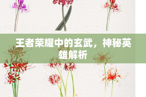 王者荣耀中的玄武，神秘英雄解析