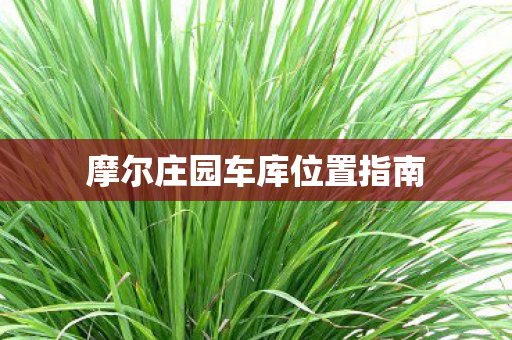 摩尔庄园车库位置指南