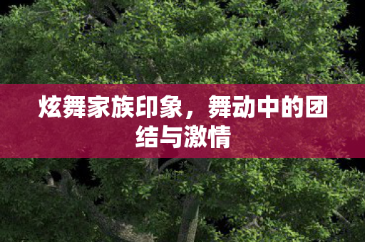 炫舞家族印象，舞动中的团结与激情