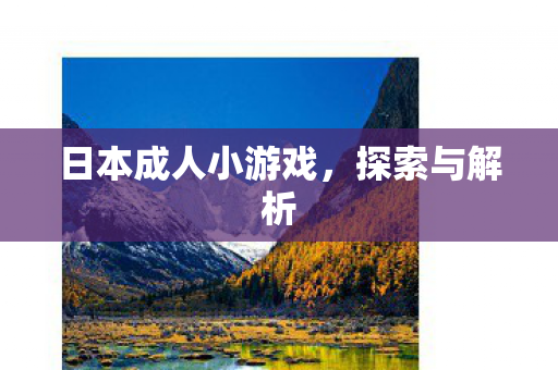 日本成人小游戏，探索与解析