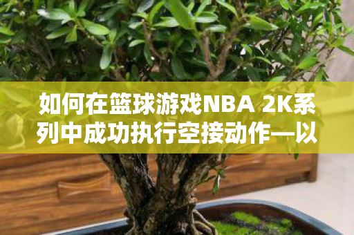 如何在篮球游戏NBA 2K系列中成功执行空接动作—以NBA 2K14为例