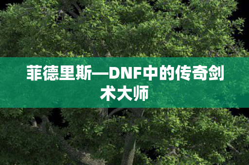 菲德里斯—DNF中的传奇剑术大师