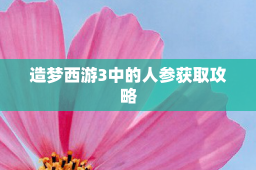 造梦西游3中的人参获取攻略