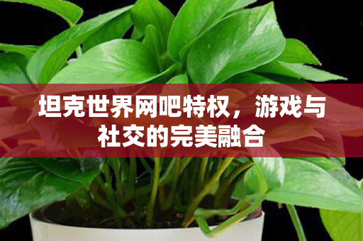 坦克世界网吧特权，游戏与社交的完美融合