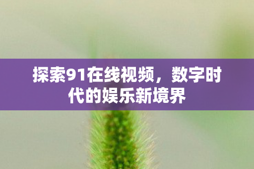 探索91在线视频，数字时代的娱乐新境界