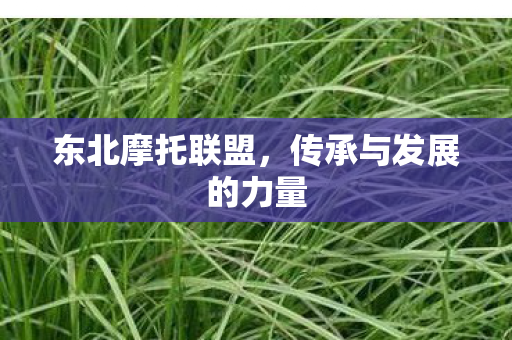 东北摩托联盟，传承与发展的力量