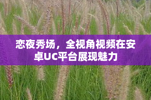 恋夜秀场，全视角视频在安卓UC平台展现魅力