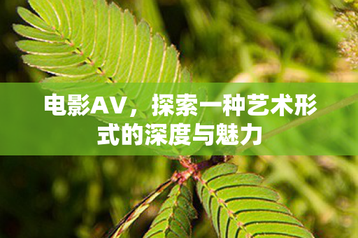 电影AV，探索一种艺术形式的深度与魅力