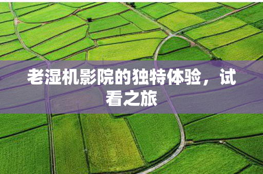 老湿机影院的独特体验，试看之旅