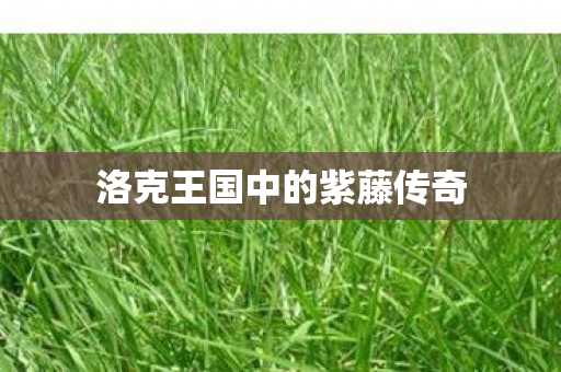 洛克王国中的紫藤传奇