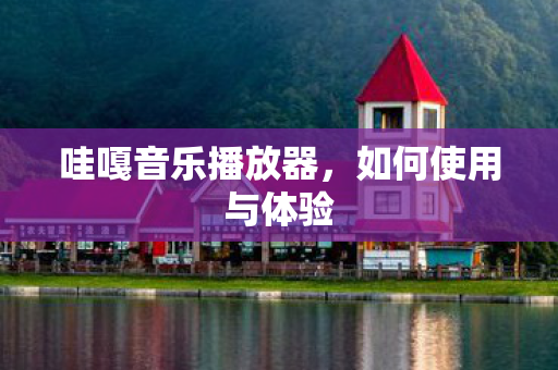 哇嘎音乐播放器，如何使用与体验