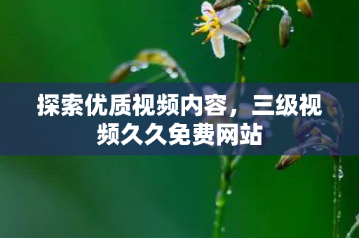 探索优质视频内容，三级视频久久免费网站