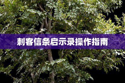 刺客信条启示录操作指南