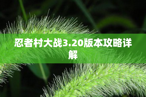 忍者村大战3.20版本攻略详解