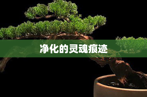 净化的灵魂痕迹