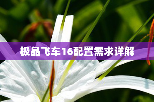 极品飞车16配置需求详解
