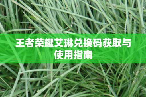 王者荣耀艾琳兑换码获取与使用指南