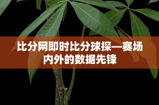 比分网即时比分球探—赛场内外的数据先锋