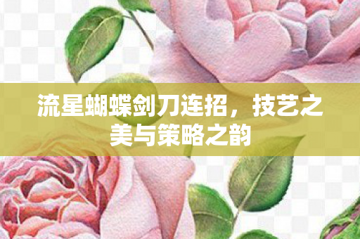 流星蝴蝶剑刀连招，技艺之美与策略之韵