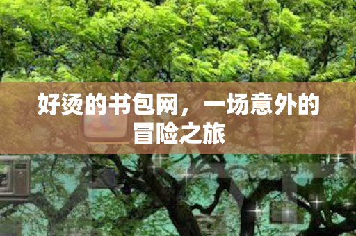 好烫的书包网，一场意外的冒险之旅