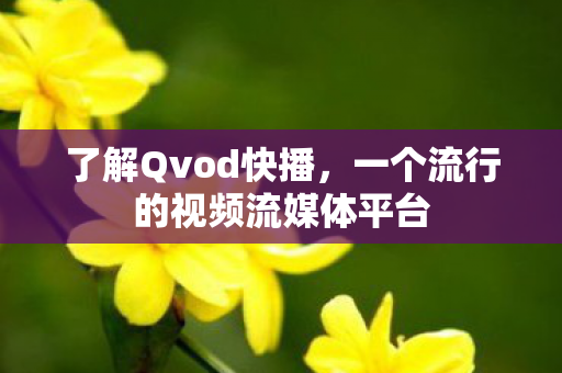 了解Qvod快播，一个流行的视频流媒体平台