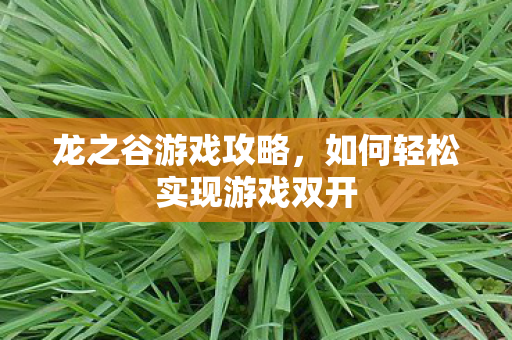 龙之谷游戏攻略，如何轻松实现游戏双开