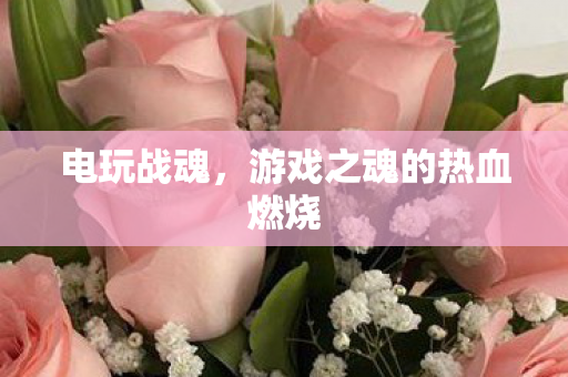 电玩战魂，游戏之魂的热血燃烧