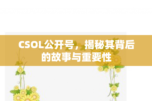 CSOL公开号，揭秘其背后的故事与重要性