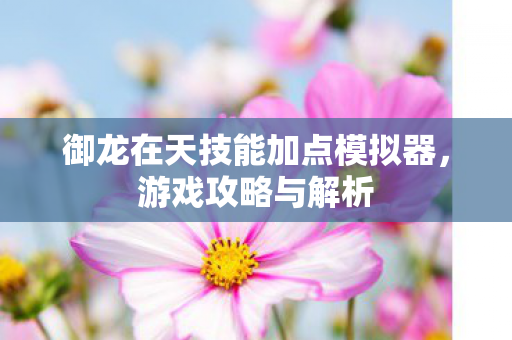 御龙在天技能加点模拟器，游戏攻略与解析
