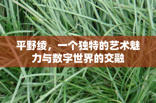 平野绫，一个独特的艺术魅力与数字世界的交融
