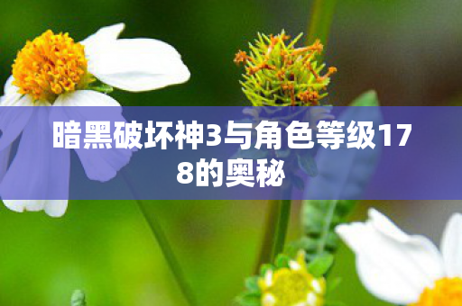 暗黑破坏神3与角色等级178的奥秘