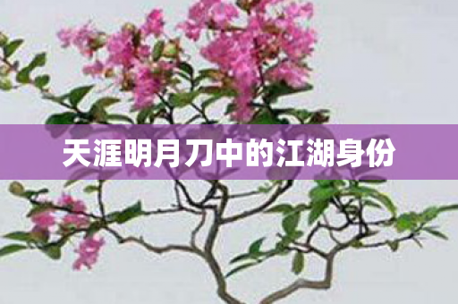 天涯明月刀中的江湖身份