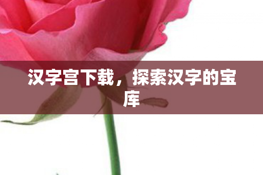 汉字宫下载，探索汉字的宝库