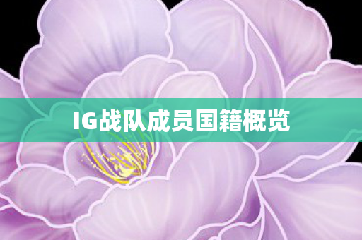 IG战队成员国籍概览