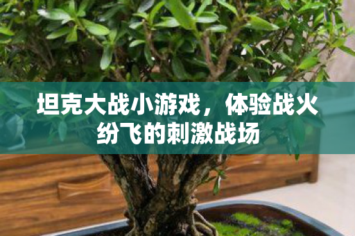 坦克大战小游戏，体验战火纷飞的刺激战场