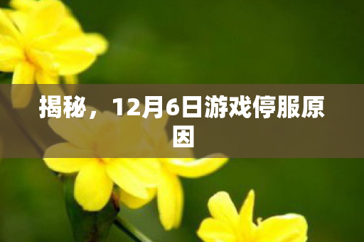 揭秘，12月6日游戏停服原因