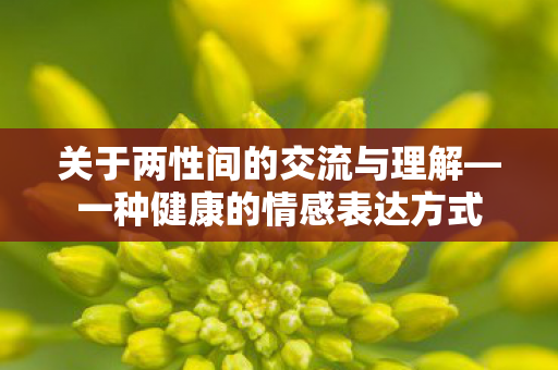 关于两性间的交流与理解—一种健康的情感表达方式
