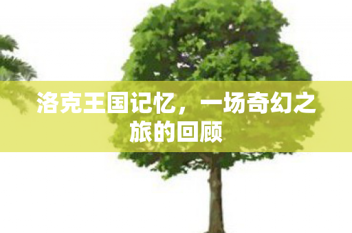 洛克王国记忆，一场奇幻之旅的回顾