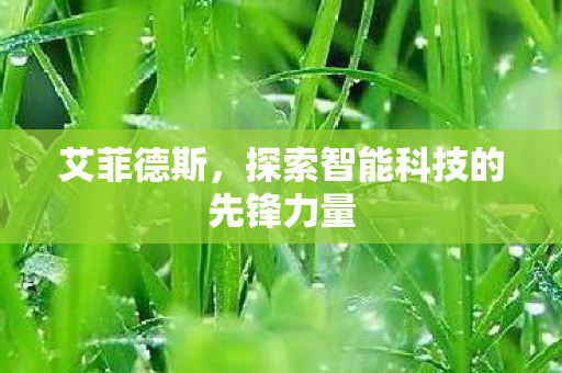 艾菲德斯，探索智能科技的先锋力量