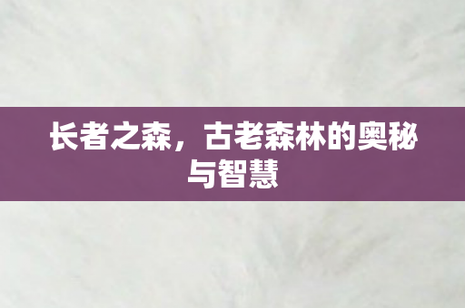长者之森，古老森林的奥秘与智慧
