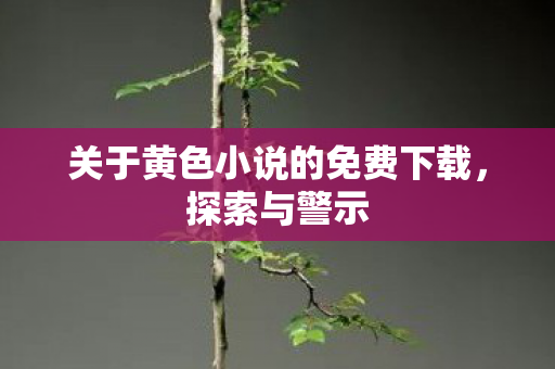 关于黄色小说的免费下载，探索与警示