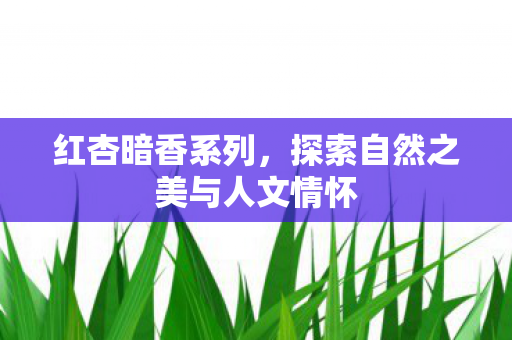 红杏暗香系列,探索自然之美与人文情怀 红杏暗香系列,探索自然之美与人文情怀