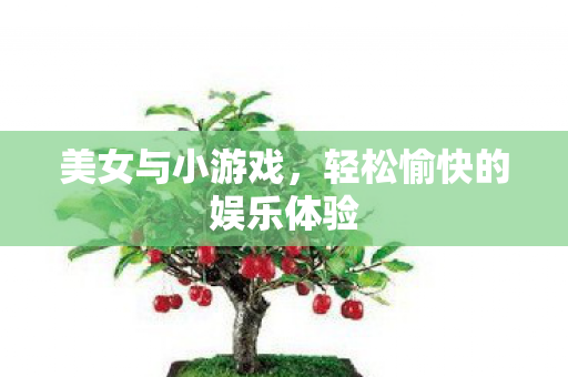 美女与小游戏，轻松愉快的娱乐体验