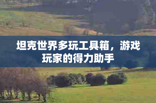 坦克世界多玩工具箱，游戏玩家的得力助手