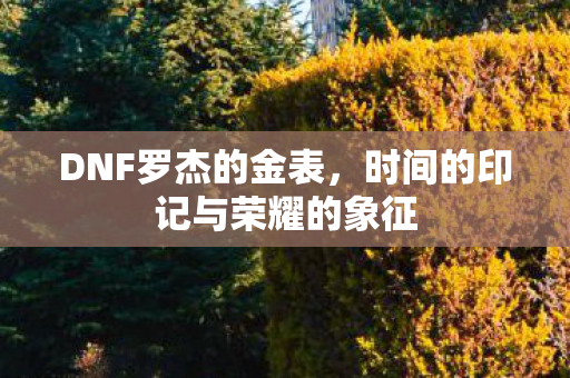 DNF罗杰的金表，时间的印记与荣耀的象征
