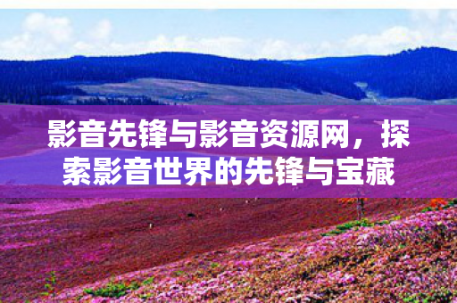 影音先锋与影音资源网，探索影音世界的先锋与宝藏