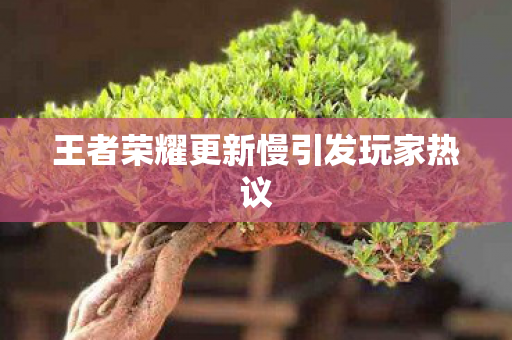 王者荣耀更新慢引发玩家热议