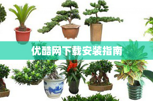 优酷网下载安装指南