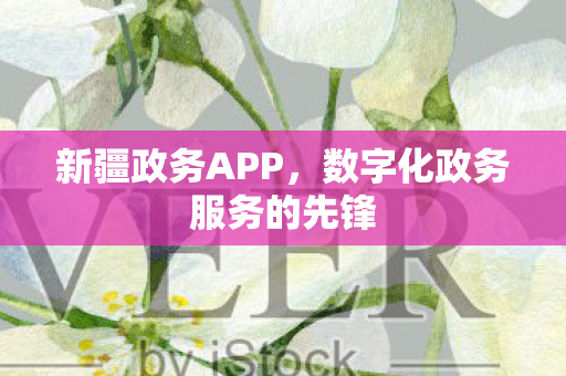 新疆政务APP，数字化政务服务的先锋